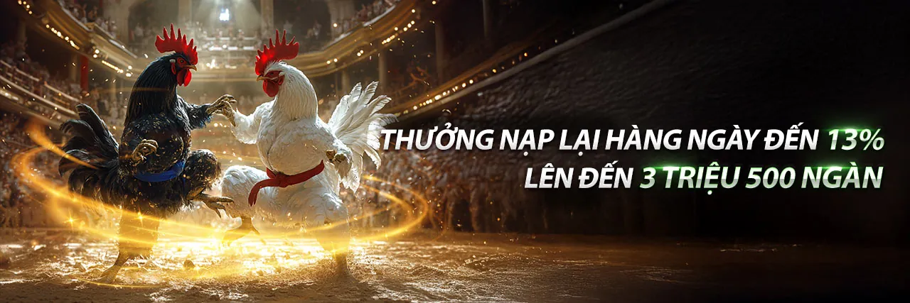 Sân vận động bóng đá với ánh đèn rực rỡ, biểu tượng cho cá cược thể thao hdbet88