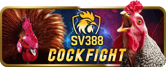 Hướng dẫn đá gà hdbet88